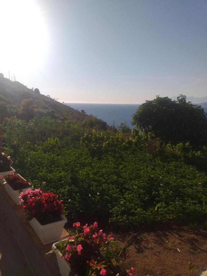 Grand Seaview Apartments Εξαμίλιο Εξωτερικό φωτογραφία